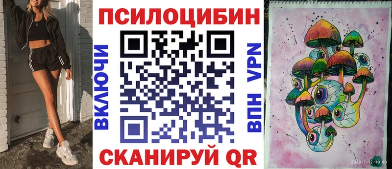 Псилоцибиновые грибы Psilocybe  Покачи 