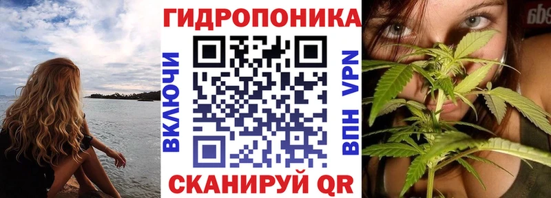 Бошки марихуана THC 21%  даркнет формула  Покачи  где продают  